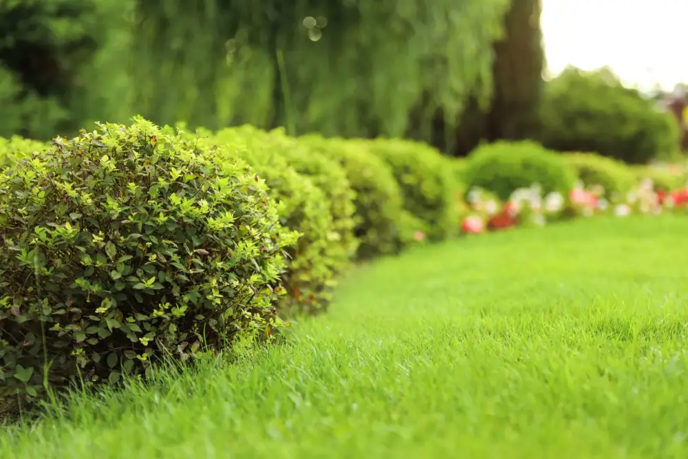 Espaces verts
